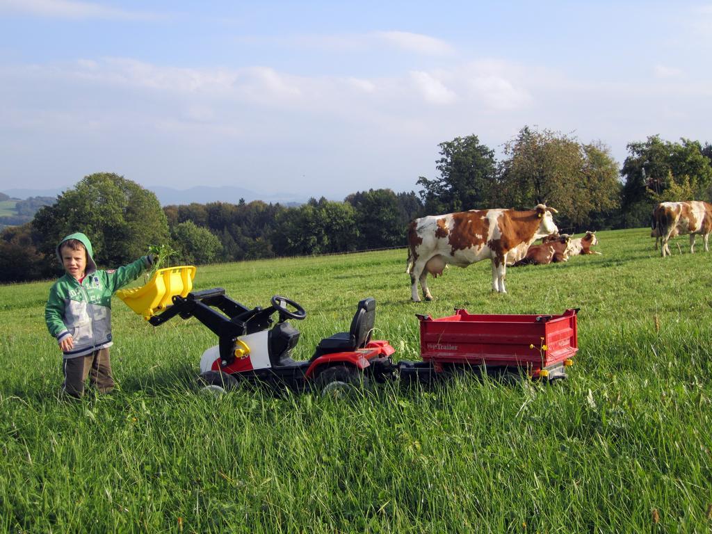 Baby- Und Kinderhof Aicherbauer Farm stay