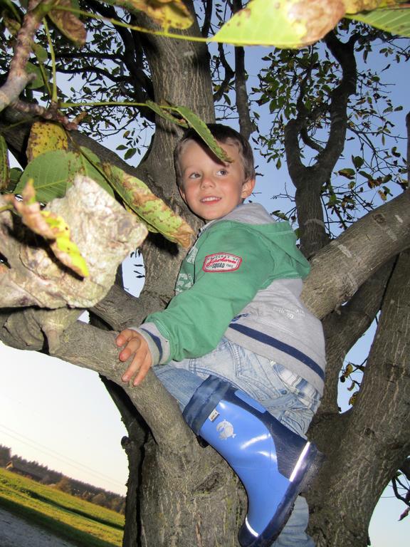 Farm stay Baby- Und Kinderhof Aicherbauer