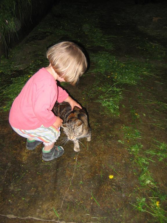 Farm stay Baby- Und Kinderhof Aicherbauer Seeham