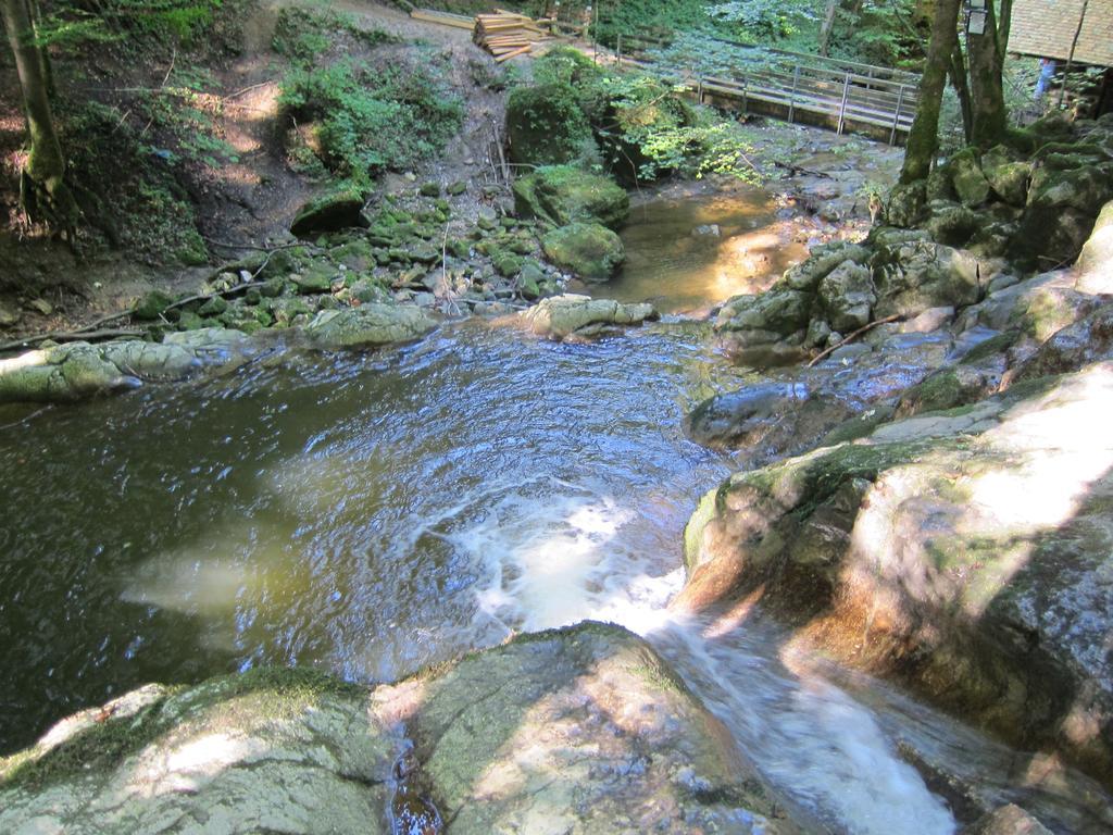 Baby- Und Kinderhof Aicherbauer