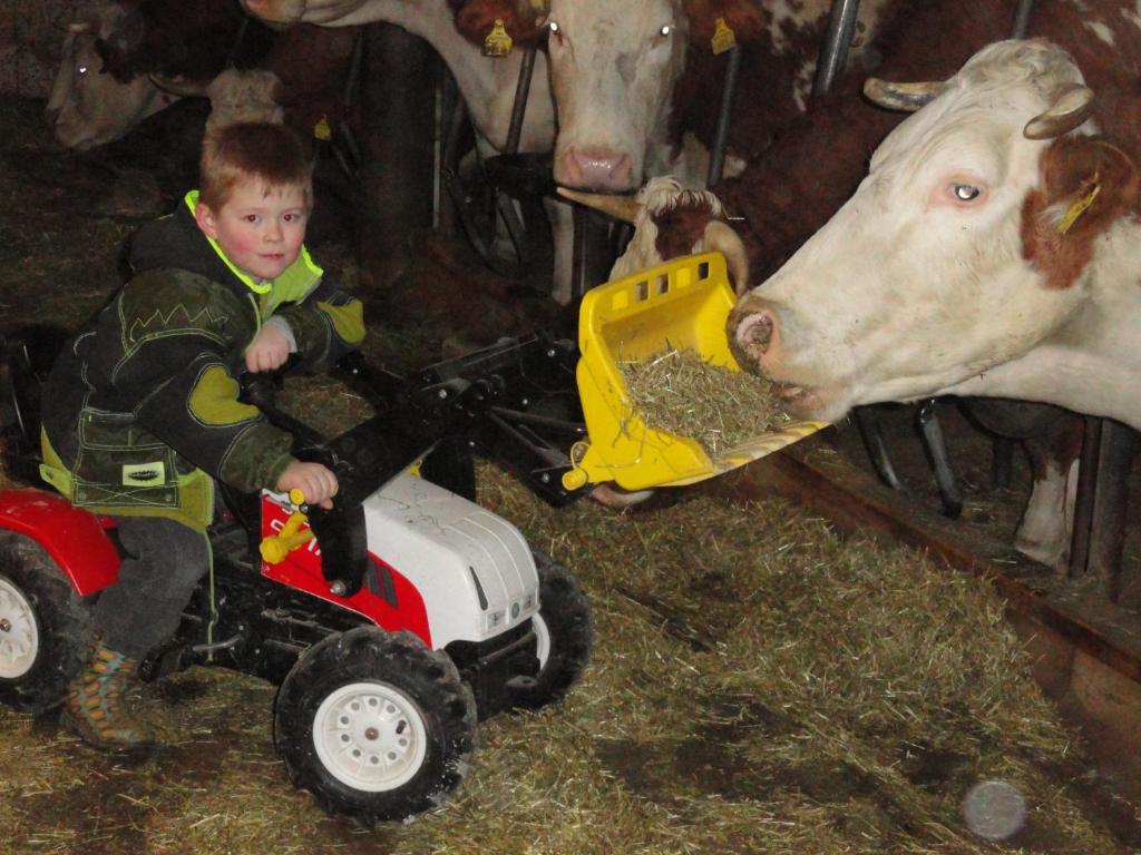 Baby- Und Kinderhof Aicherbauer Farm stay Seeham