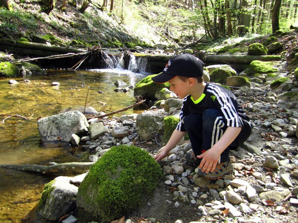 Baby- Und Kinderhof Aicherbauer Farm stay *