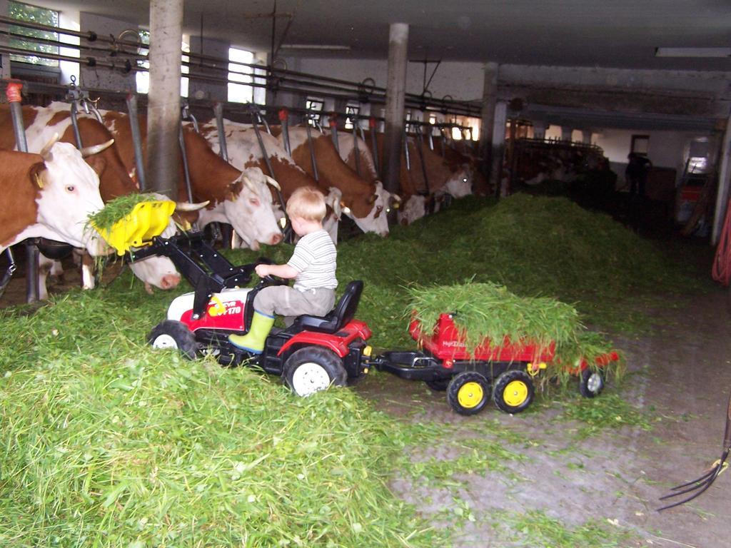 Baby- Und Kinderhof Aicherbauer * Seeham