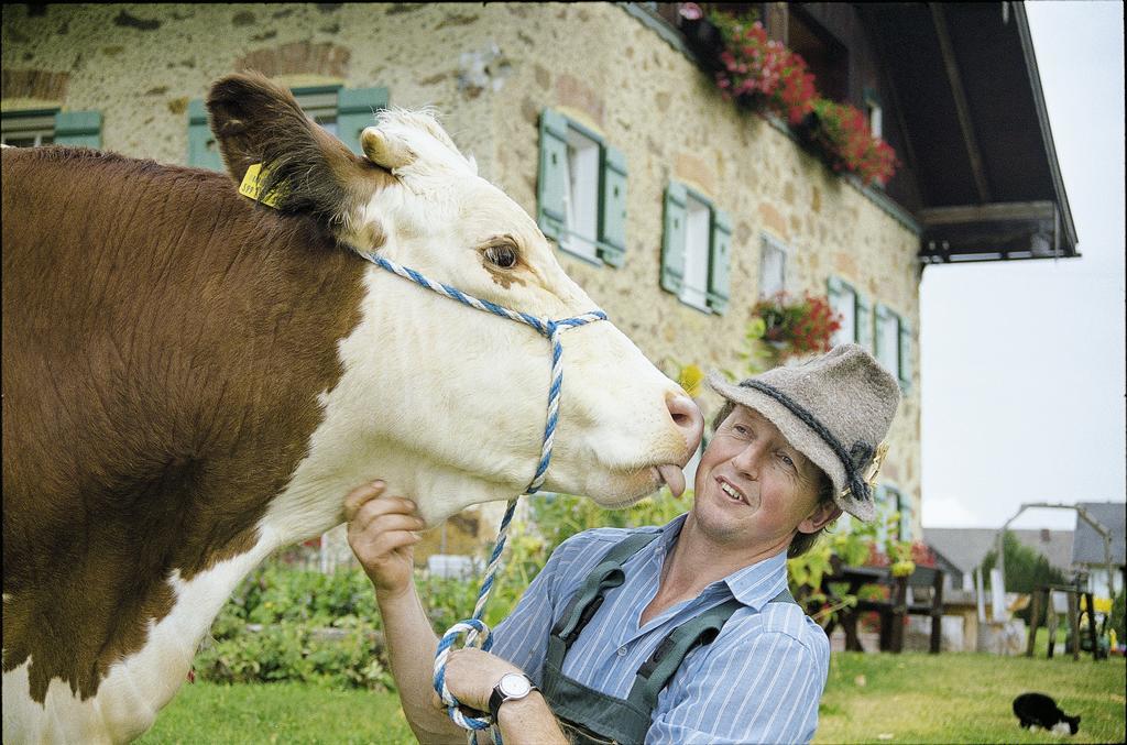 Baby- Und Kinderhof Aicherbauer Farm stay