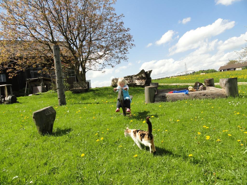 Baby- Und Kinderhof Aicherbauer Farm stay *