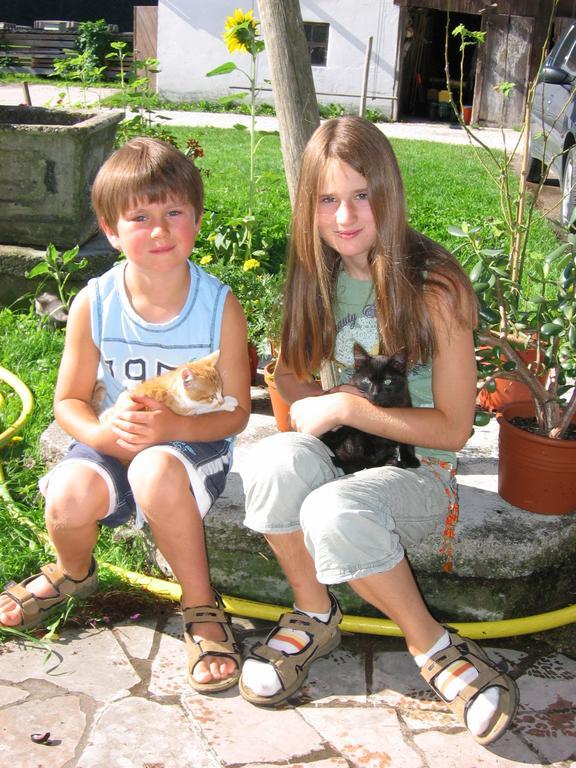 Farm stay Baby- Und Kinderhof Aicherbauer