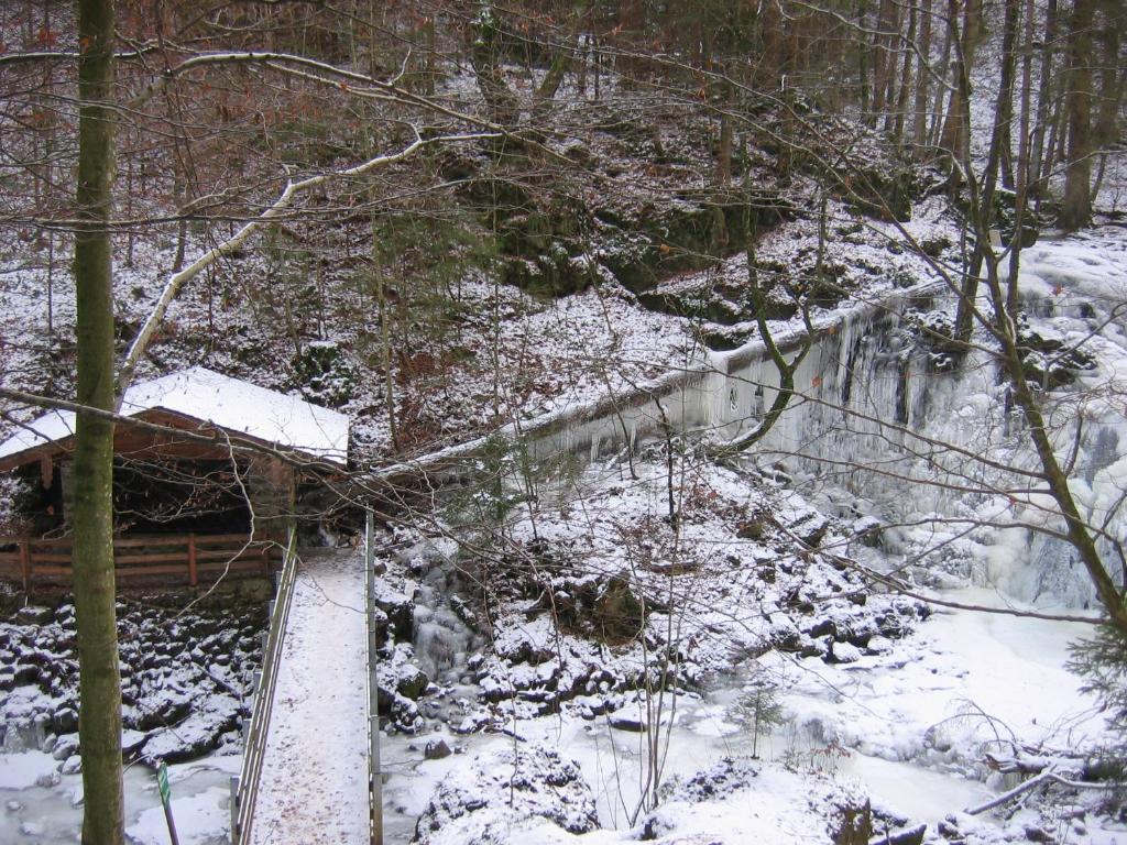 Baby- Und Kinderhof Aicherbauer Farma Seeham