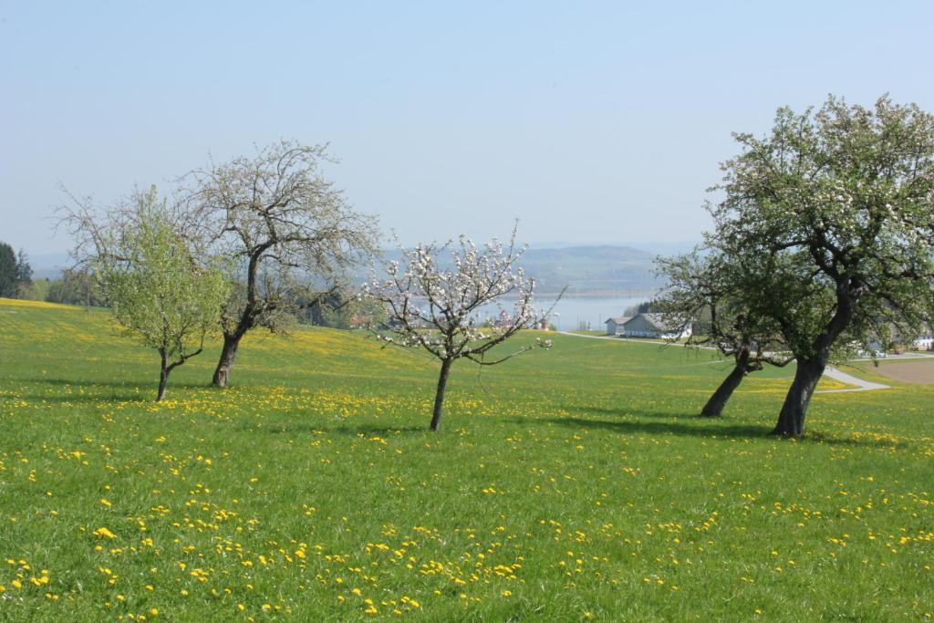 Baby- Und Kinderhof Aicherbauer *